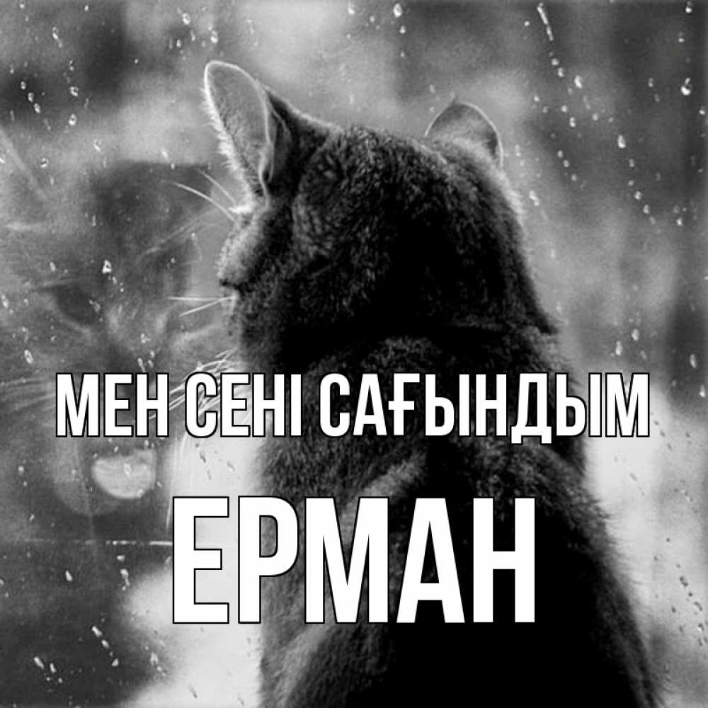 Күн сайын ашық хат с именем, Ерман Мен сені сағындым скорее ко мне приходи 1 Онлайн тегін жүктеп алу тілектері бар керемет карта 