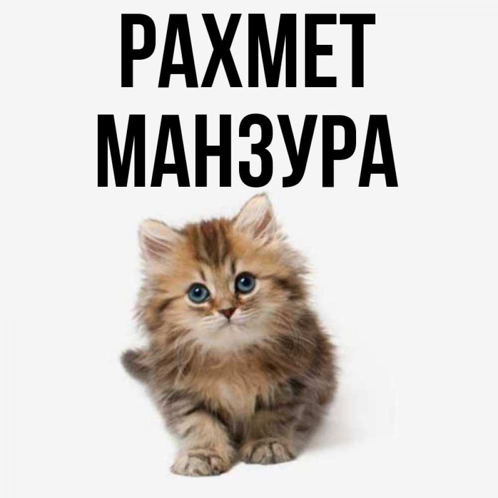 Күн сайын ашық хат с именем, МАНЗУРА рахмет пушистый котик Онлайн тегін жүктеп алу тілектері бар керемет карта 