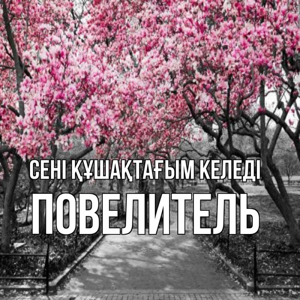 Күн сайын ашық хат с именем, Повелитель сені құшақтағым келеді обработанное фото Онлайн тегін жүктеп алу тілектері бар керемет карта 