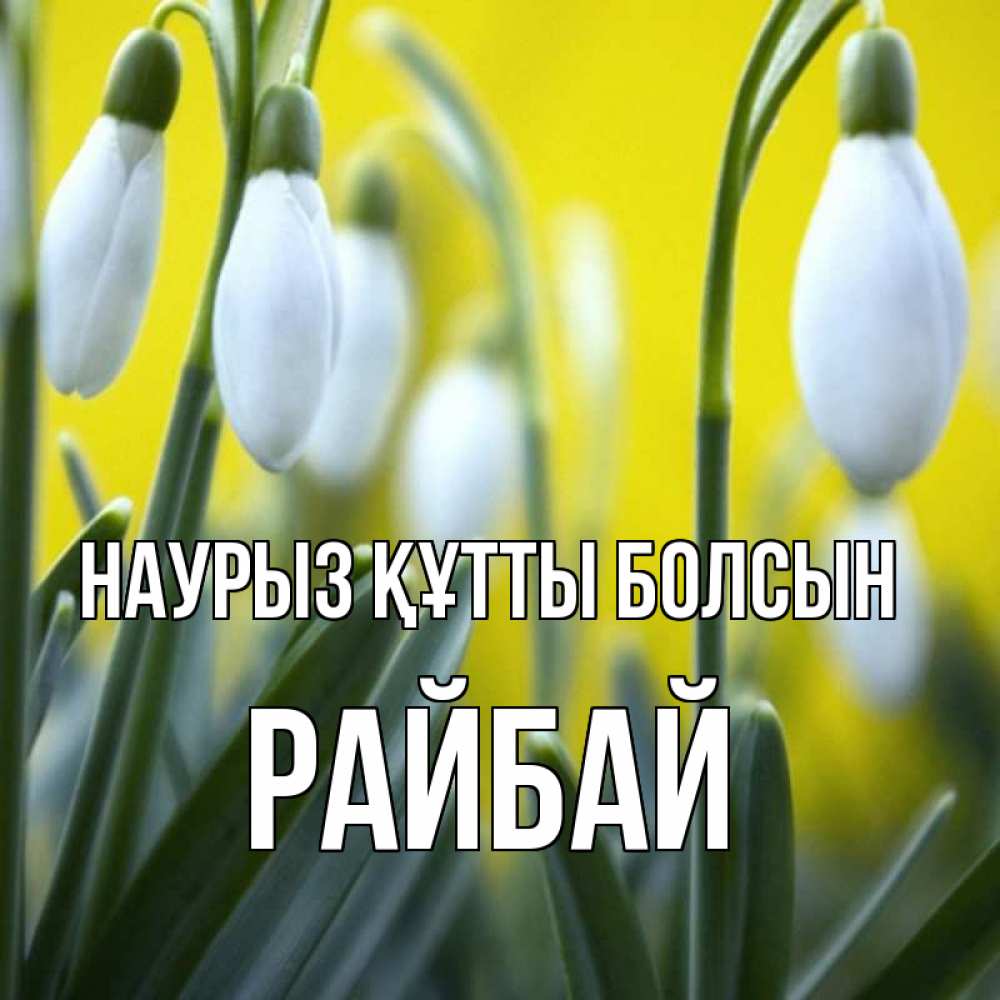 Күн сайын ашық хат с именем, РАЙБАЙ Наурыз құтты болсын весенние цветы Онлайн тегін жүктеп алу тілектері бар керемет карта 