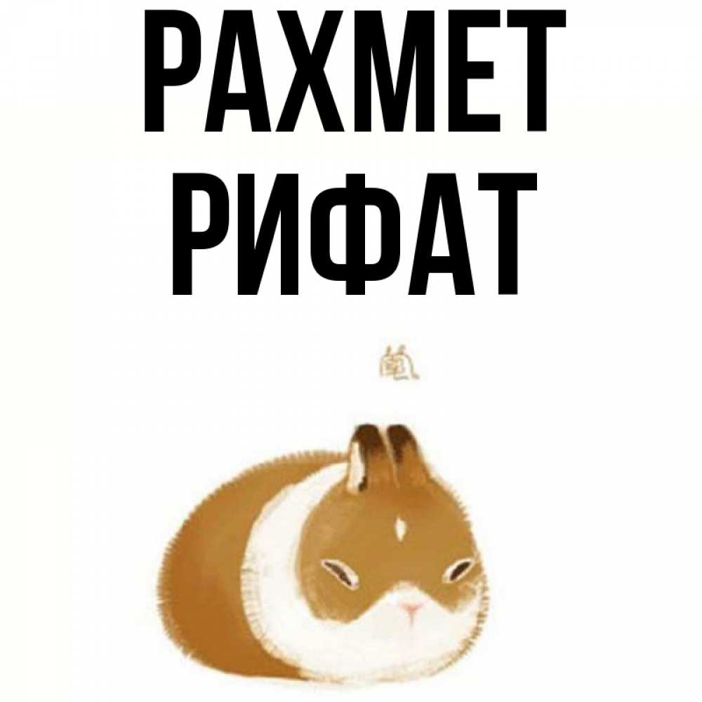 Күн сайын ашық хат с именем, Рифат рахмет коричнево белый домашний питомец Онлайн тегін жүктеп алу тілектері бар керемет карта 