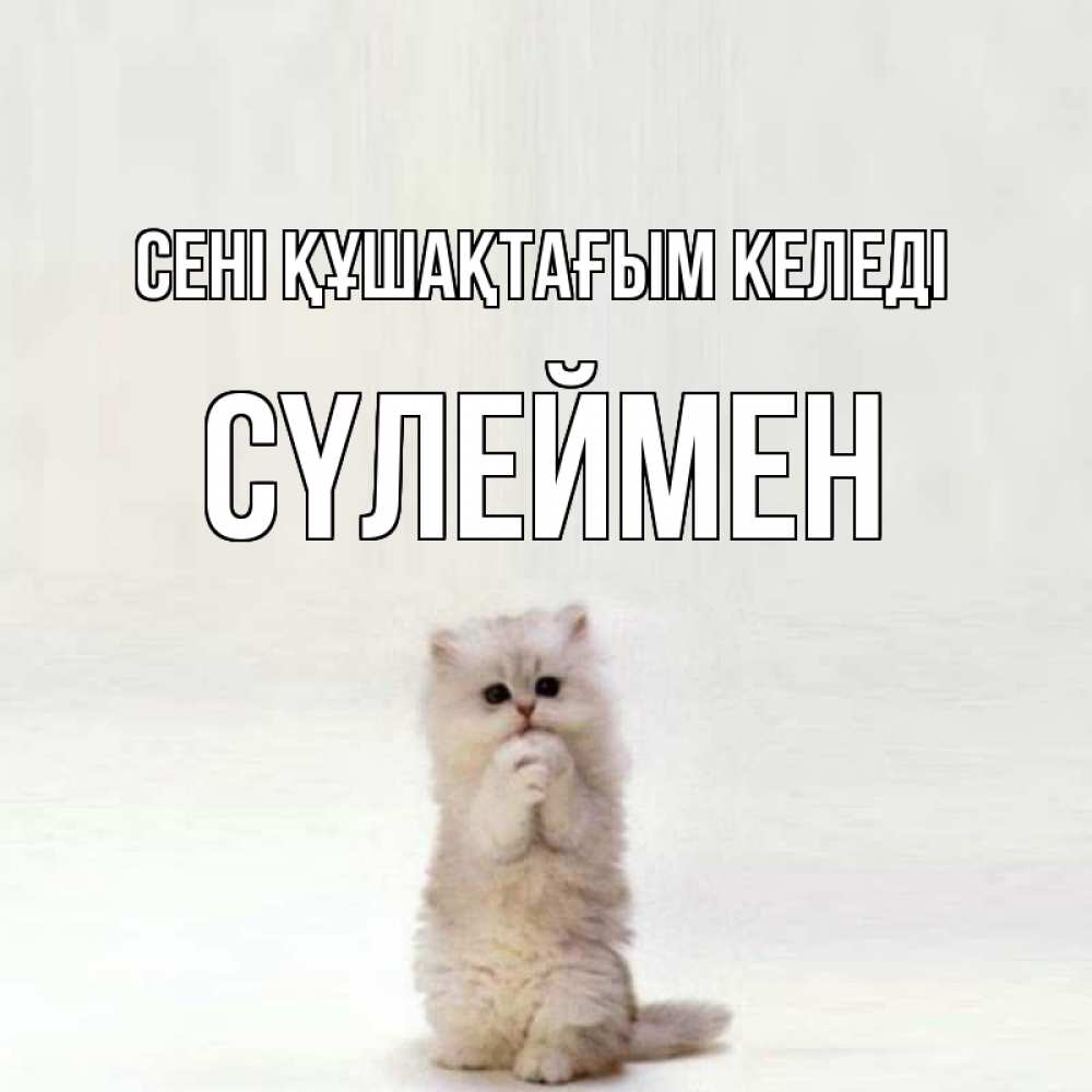 Күн сайын ашық хат с именем, СҮЛЕЙМЕН сені құшақтағым келеді открытки с креативными подписями Онлайн тегін жүктеп алу тілектері бар керемет карта 