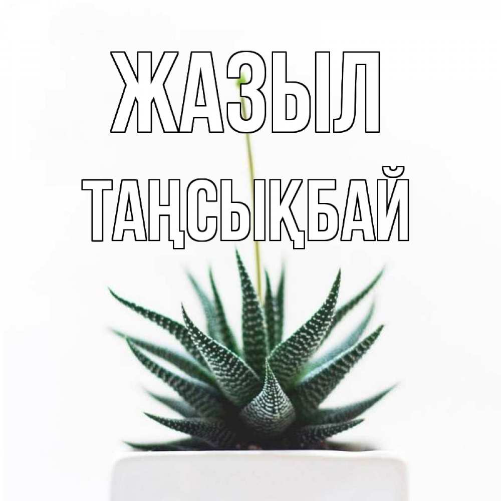 Күн сайын ашық хат с именем, ТАҢСЫҚБАЙ Жазыл короче это непонятная колючка Онлайн тегін жүктеп алу тілектері бар керемет карта 