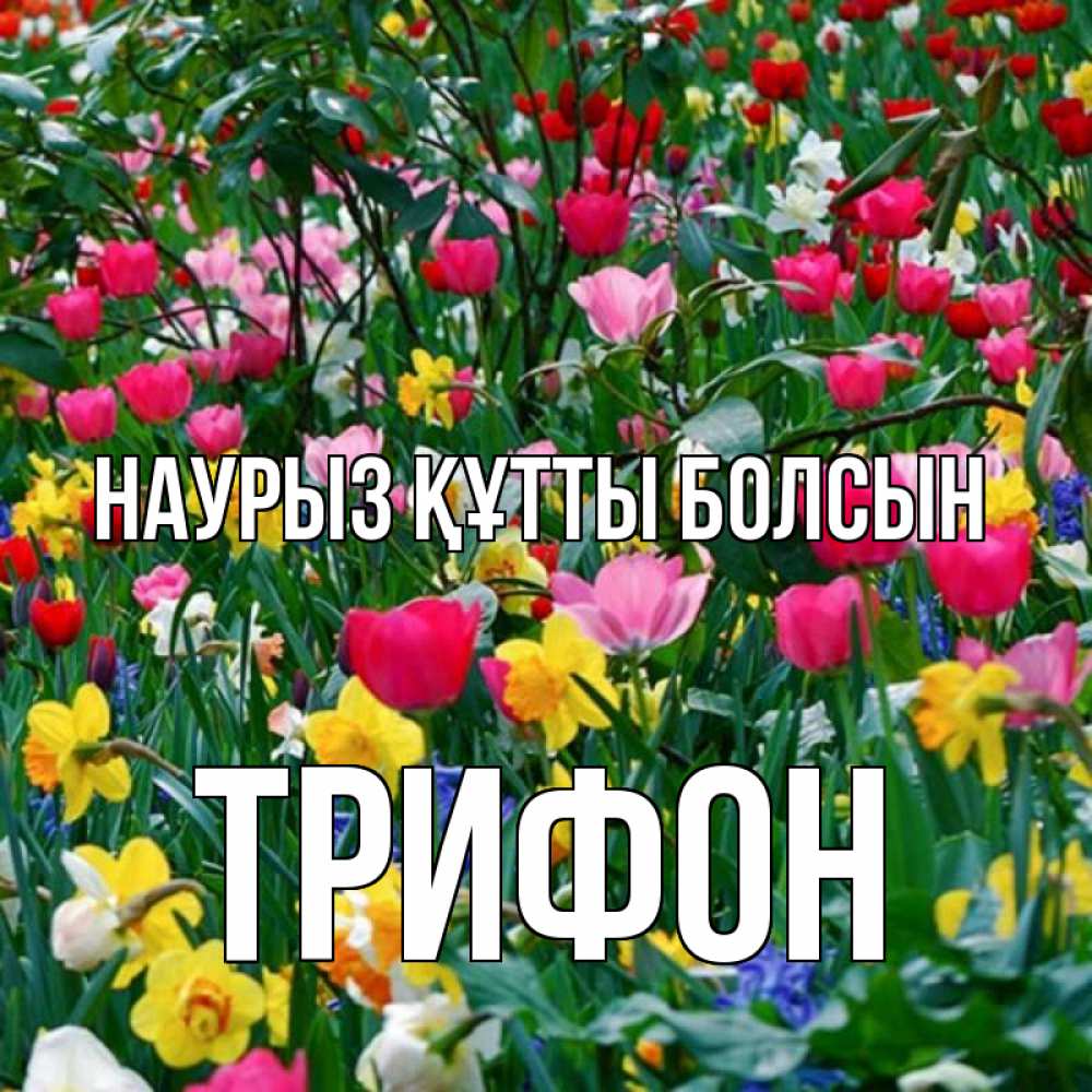 Күн сайын ашық хат с именем, Трифон Наурыз құтты болсын с наурызом поздравления для женщины Онлайн тегін жүктеп алу тілектері бар керемет карта 