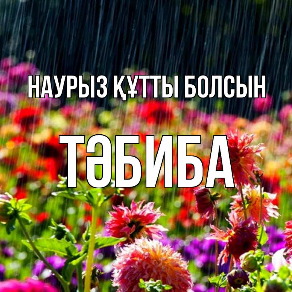 Күн сайын ашық хат с именем, ТӘБИБА Наурыз құтты болсын цветы под дождиком к наурызу Онлайн тегін жүктеп алу тілектері бар керемет карта 