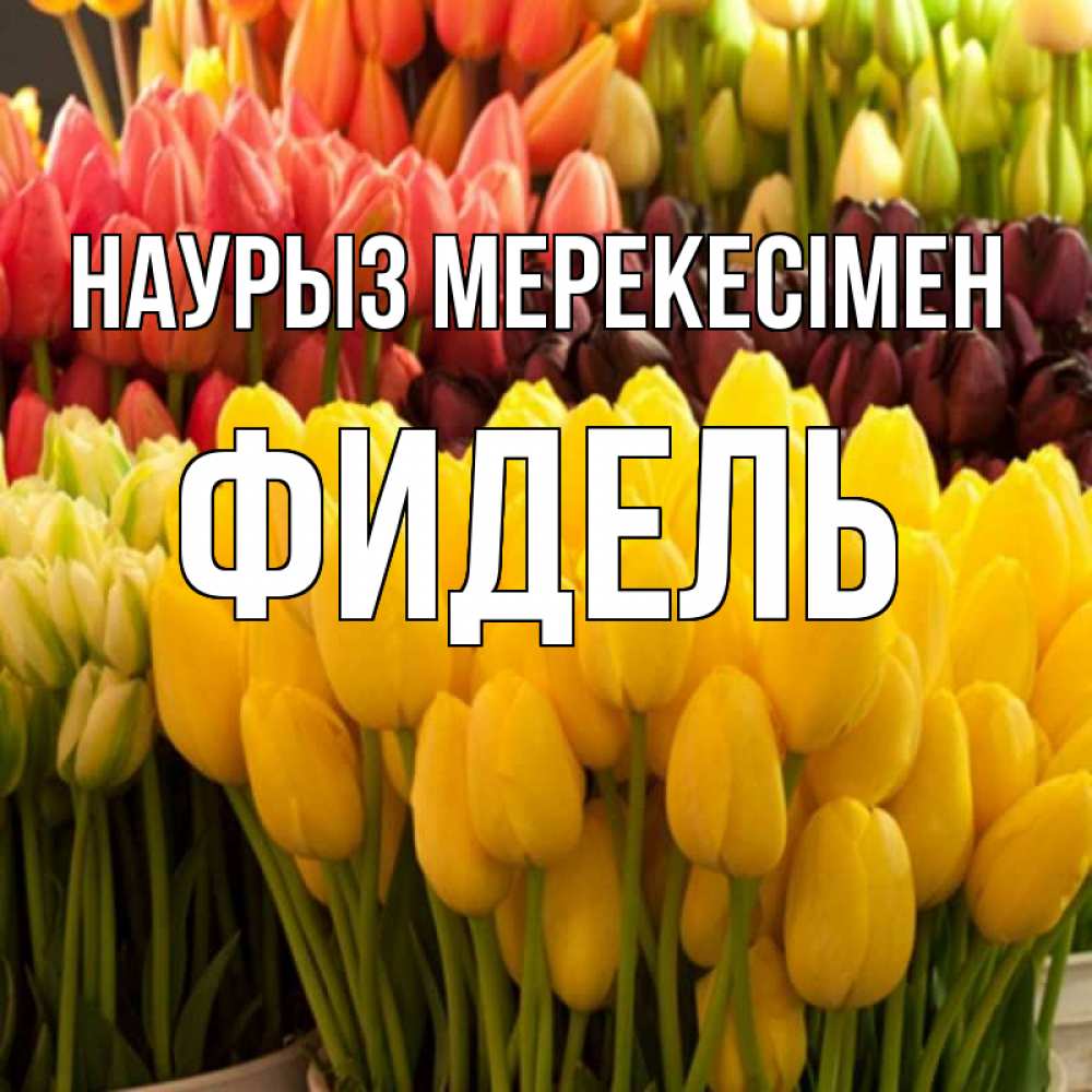 Күн сайын ашық хат с именем, Фидель Наурыз мерекесімен цветы Онлайн тегін жүктеп алу тілектері бар керемет карта 