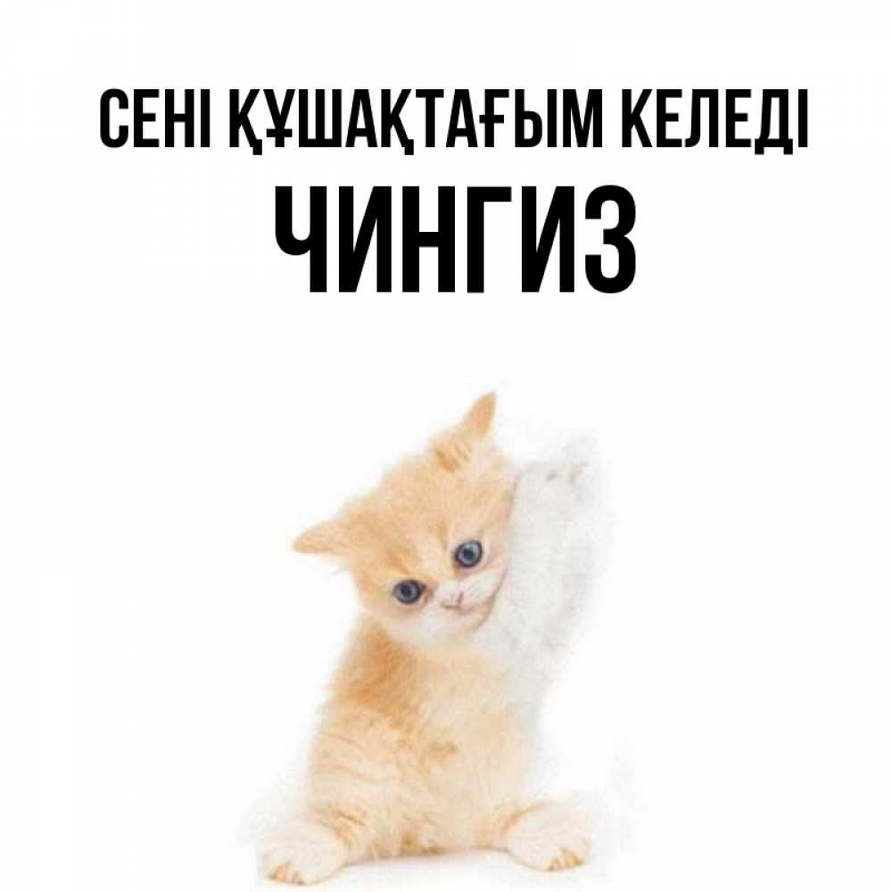 Күн сайын ашық хат с именем, Чингиз сені құшақтағым келеді я хочу очень скорее обнимаешек Онлайн тегін жүктеп алу тілектері бар керемет карта 