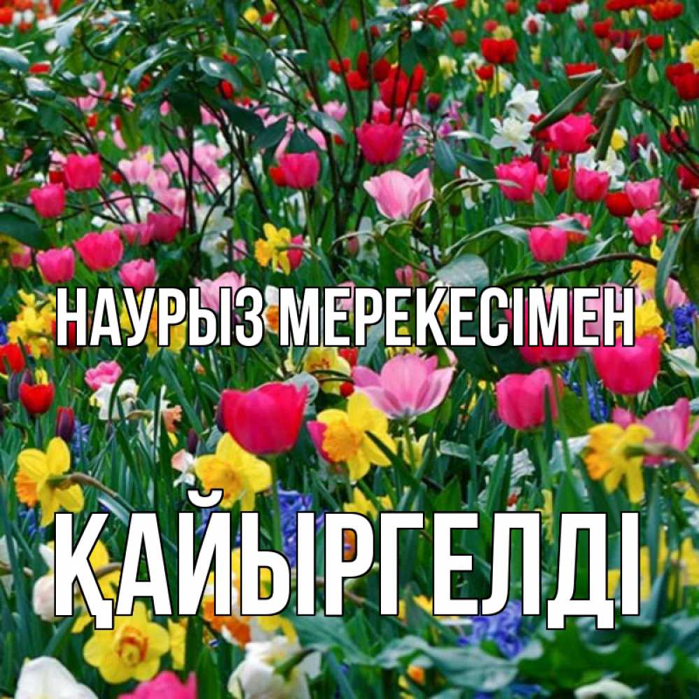 Күн сайын ашық хат с именем, Қайыргелді Наурыз мерекесімен с наурызом праздником весны поздравления для женщины Онлайн тегін жүктеп алу тілектері бар керемет карта 
