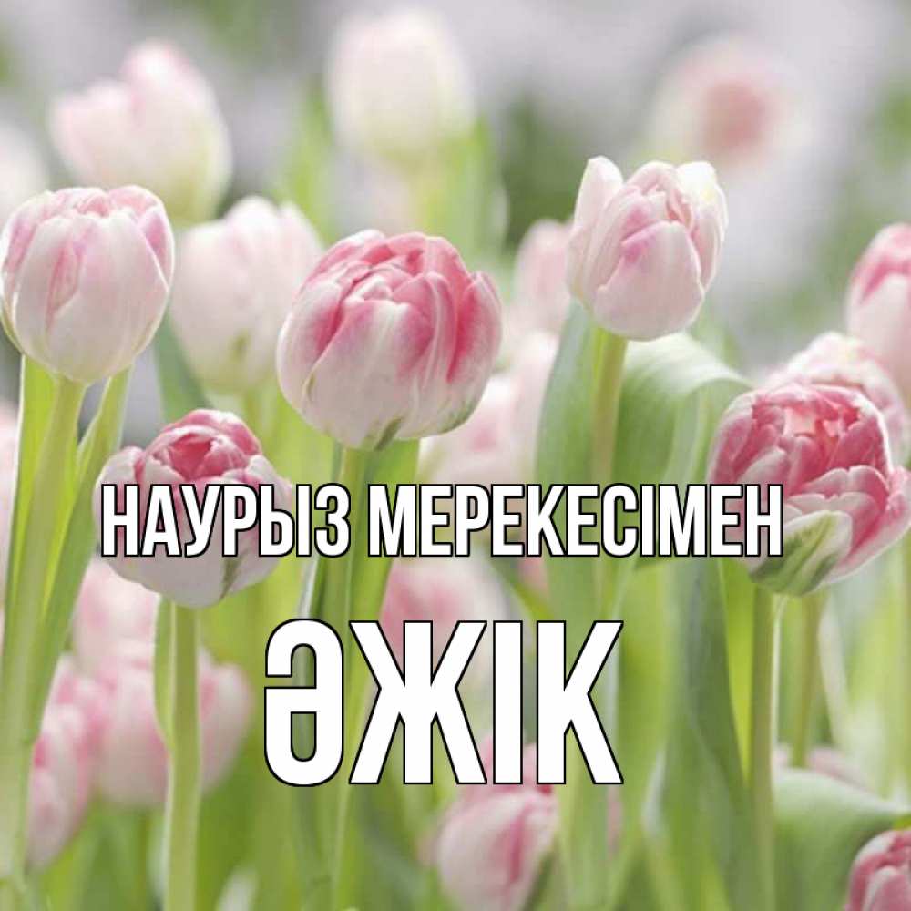 Күн сайын ашық хат с именем, Әжік Наурыз мерекесімен цветы Онлайн тегін жүктеп алу тілектері бар керемет карта 