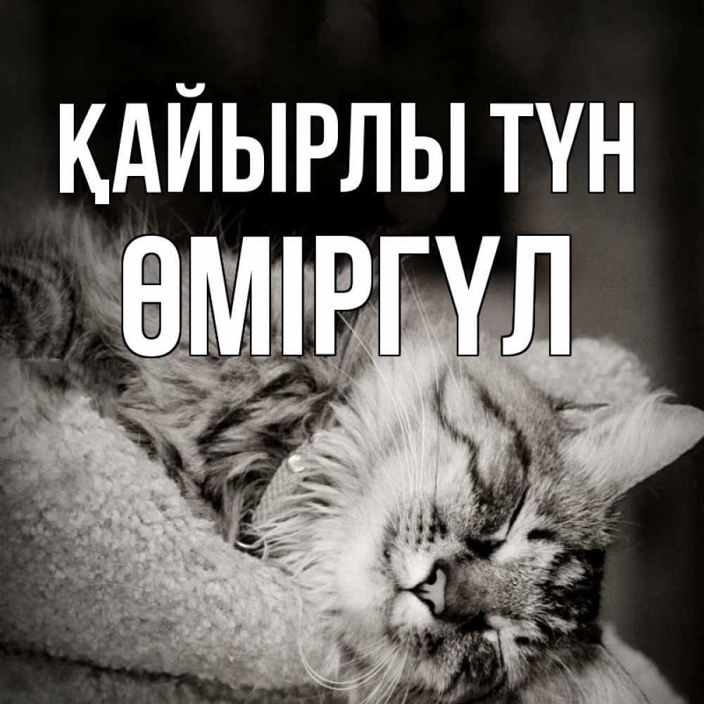 Күн сайын ашық хат с именем, ӨМІРГҮЛ Қайырлы түн котярик пушистый Онлайн тегін жүктеп алу тілектері бар керемет карта 