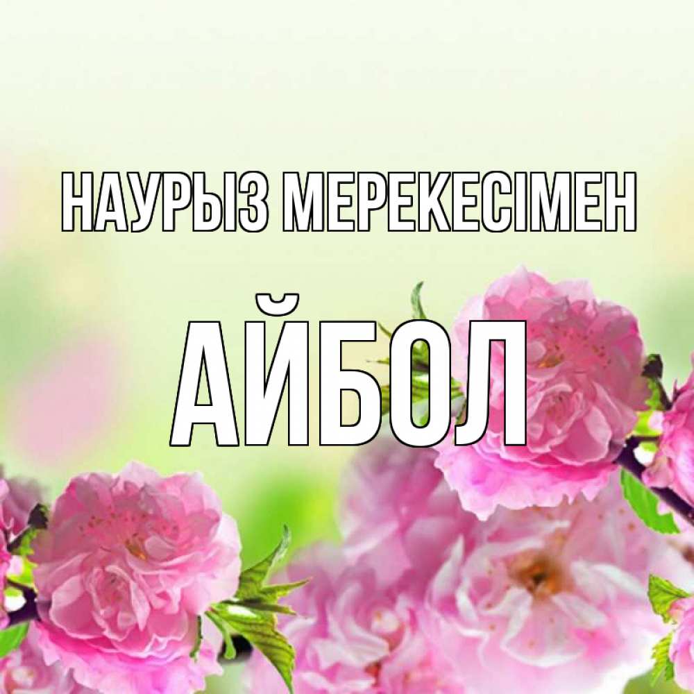 Күн сайын ашық хат с именем, Айбол Наурыз мерекесімен цветы Онлайн тегін жүктеп алу тілектері бар керемет карта 