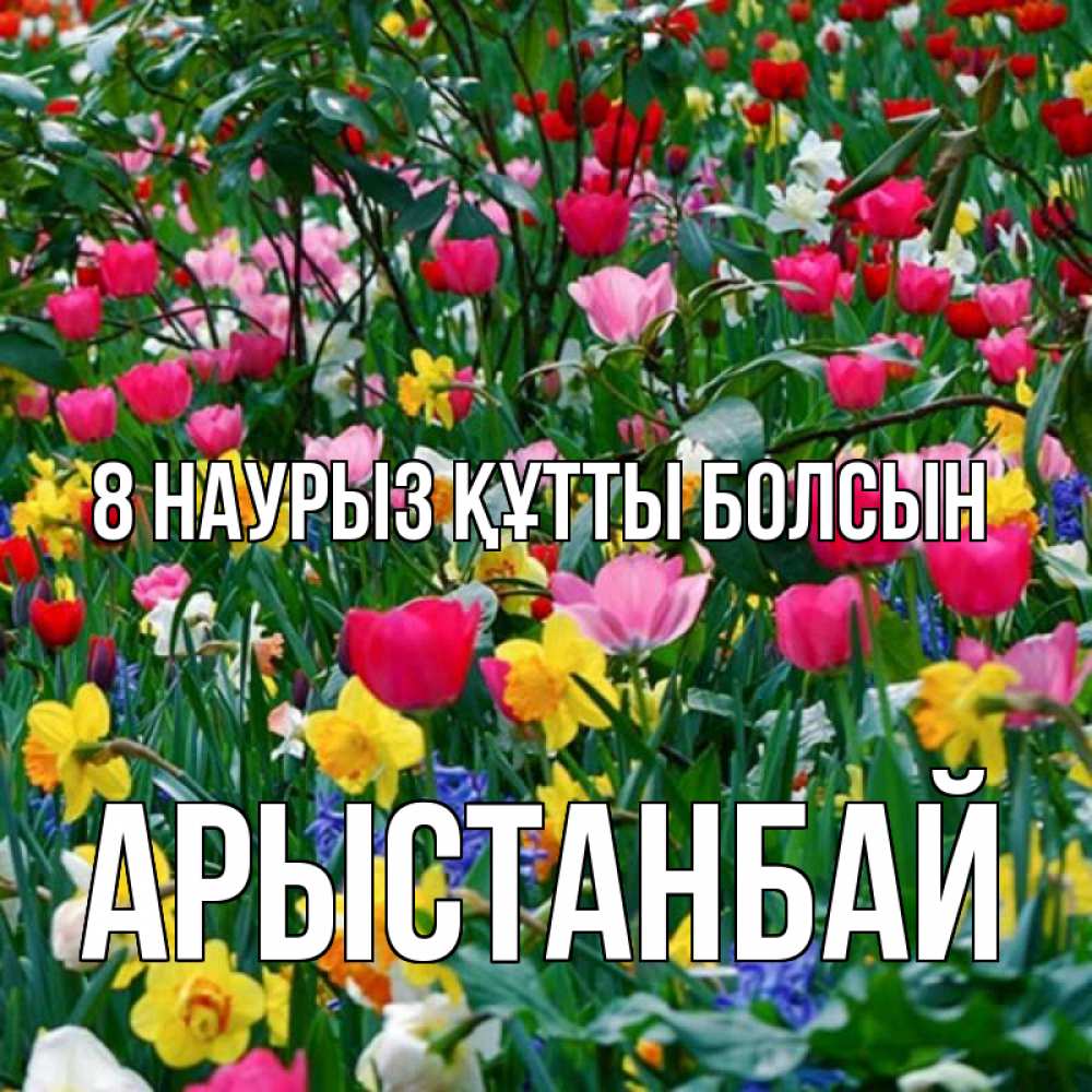 Күн сайын ашық хат с именем, Арыстанбай 8 наурыз құтты болсын с международным женским днем поздравления для женщины Онлайн тегін жүктеп алу тілектері бар керемет карта 