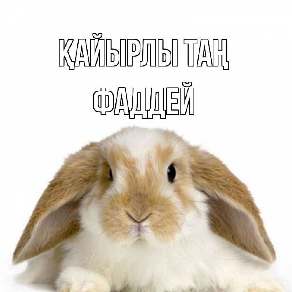 Күн сайын ашық хат с именем, Фаддей Қайырлы таң прикольные открытки на каждый день Онлайн тегін жүктеп алу тілектері бар керемет карта 