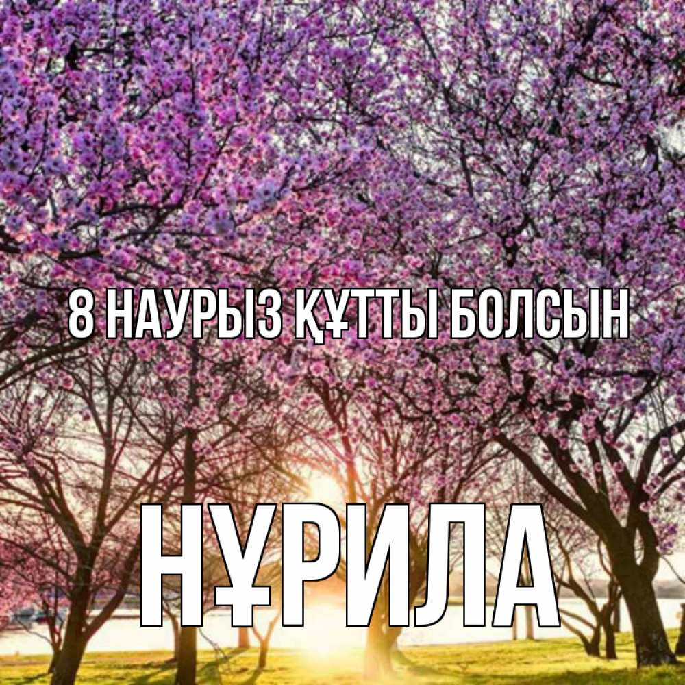 Күн сайын ашық хат с именем, НҰРИЛА 8 наурыз құтты болсын международный женский день Онлайн тегін жүктеп алу тілектері бар керемет карта 