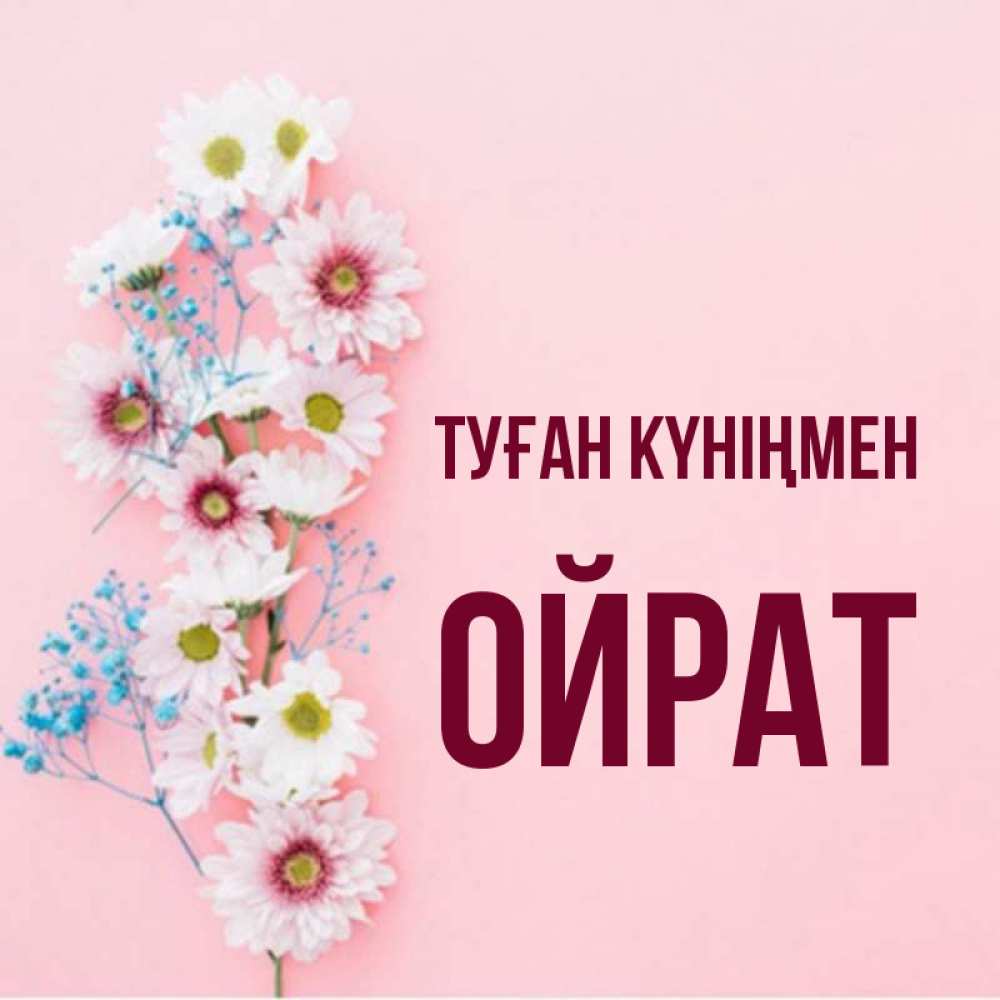 Күн сайын ашық хат с именем, ОЙРАТ Туған күніңмен Родная моя с днем рождения тебя картинка с цветами белыми и голубыми Онлайн тегін жүктеп алу тілектері бар керемет карта 