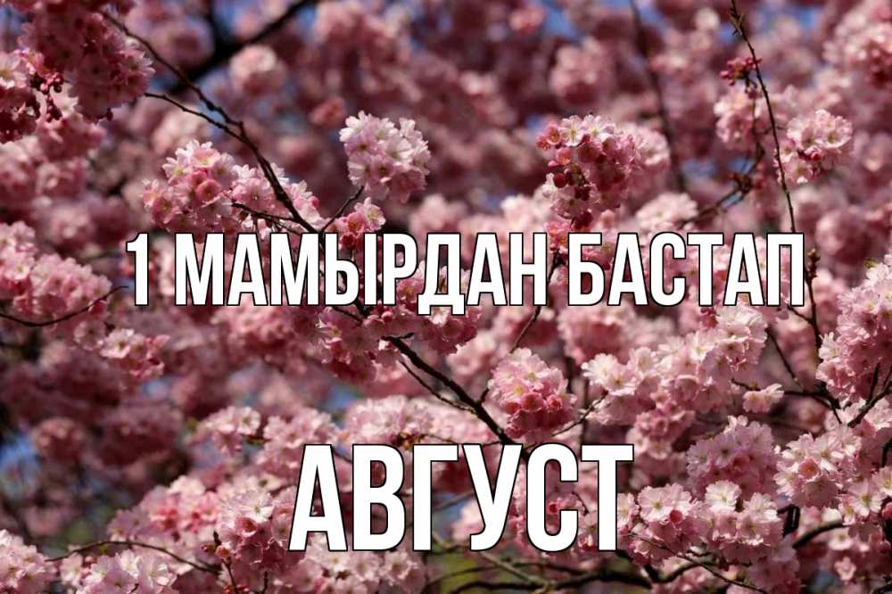 Күн сайын ашық хат с именем, Август 1 мамырдан бастап С 1 мая Онлайн тегін жүктеп алу тілектері бар керемет карта 