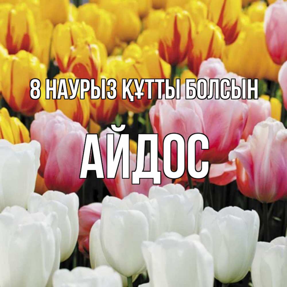 Күн сайын ашық хат с именем, Айдос 8 наурыз құтты болсын разноцветные цветы Онлайн тегін жүктеп алу тілектері бар керемет карта 