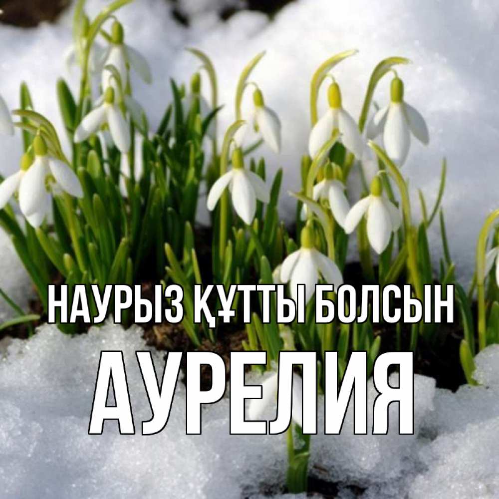 Күн сайын ашық хат с именем, Аурелия Наурыз құтты болсын цветы весенние Онлайн тегін жүктеп алу тілектері бар керемет карта 