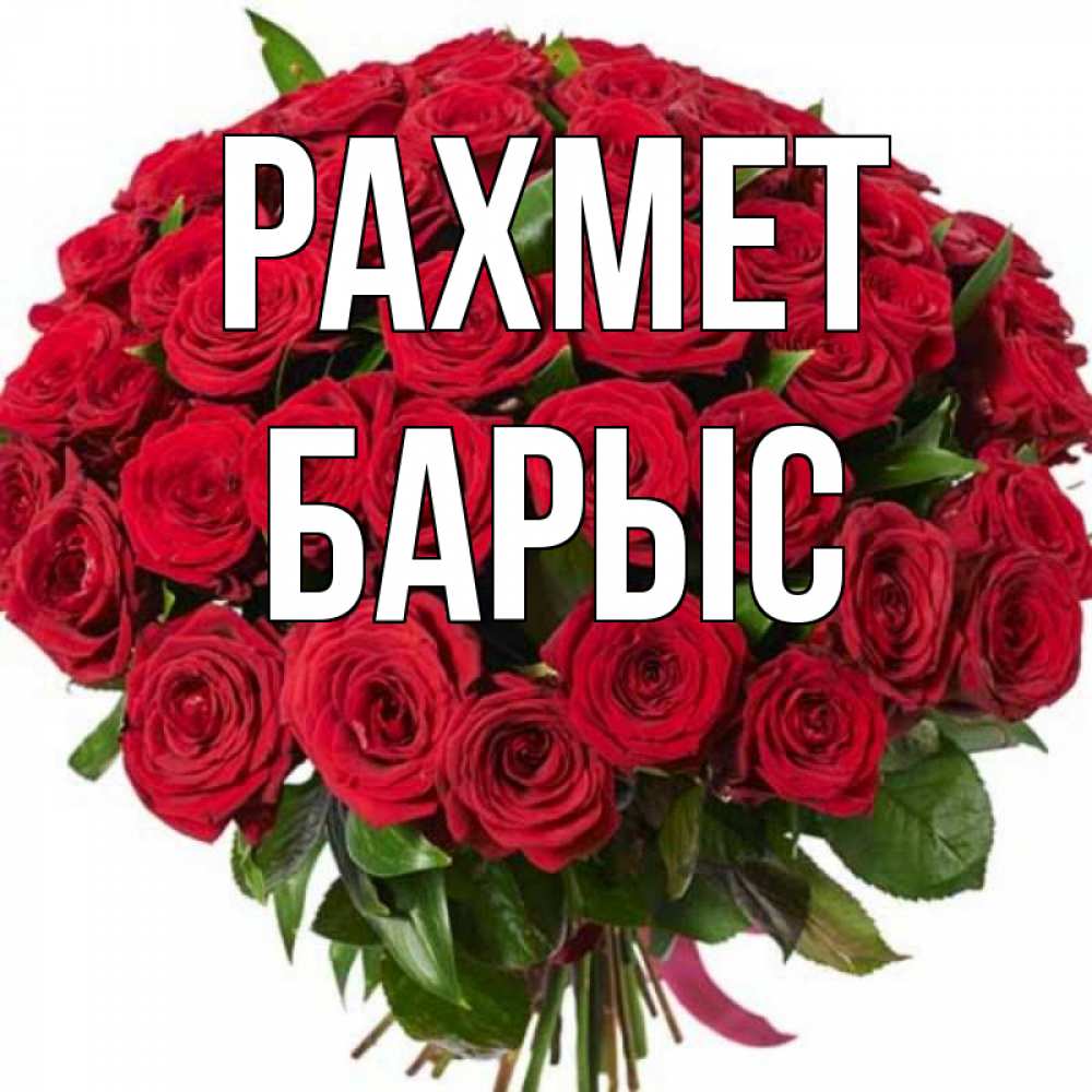 Күн сайын ашық хат с именем, Барыс рахмет букет красных роз Онлайн тегін жүктеп алу тілектері бар керемет карта 