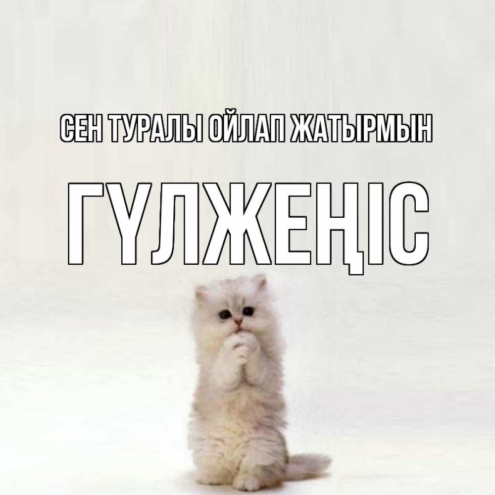 Күн сайын ашық хат с именем, ГҮЛЖЕҢІС Сен туралы ойлап жатырмын кот стоит на задних лапах Онлайн тегін жүктеп алу тілектері бар керемет карта 