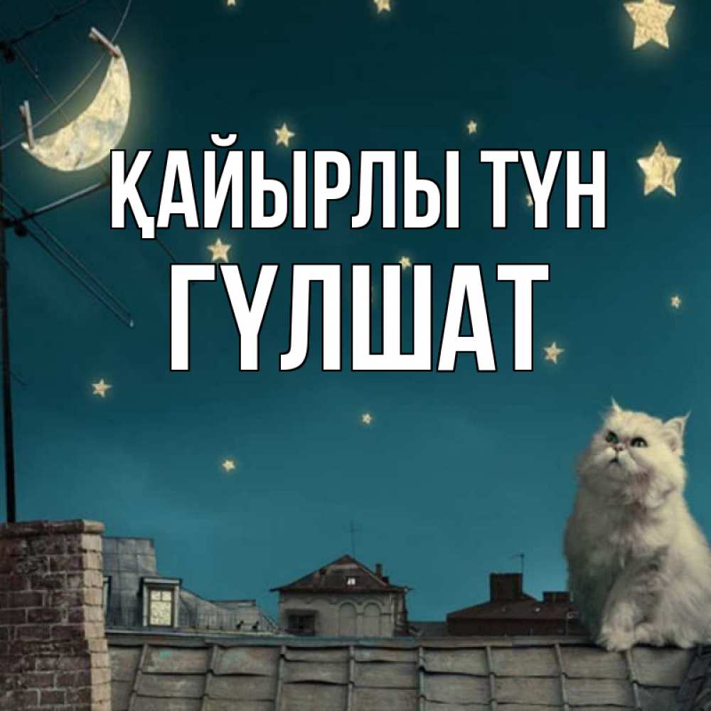 Күн сайын ашық хат с именем, ГҮЛШАТ Қайырлы түн белый кот сидит на крыше Онлайн тегін жүктеп алу тілектері бар керемет карта 