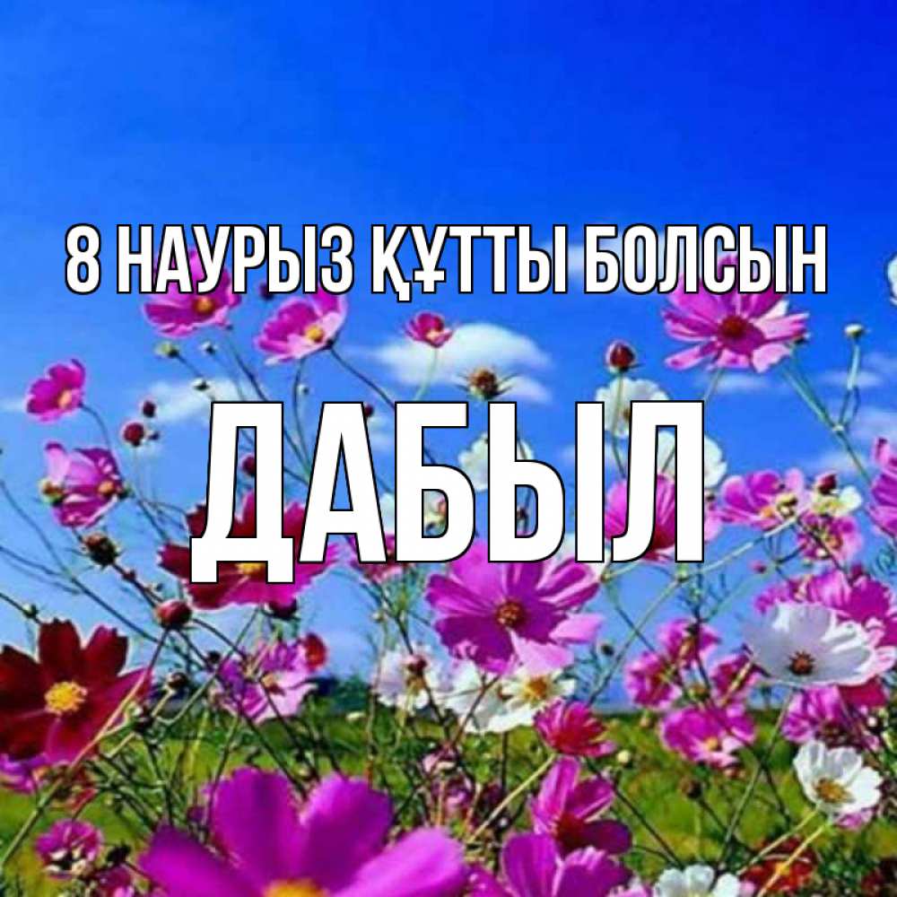 Күн сайын ашық хат с именем, Дабыл 8 наурыз құтты болсын цветы Онлайн тегін жүктеп алу тілектері бар керемет карта 
