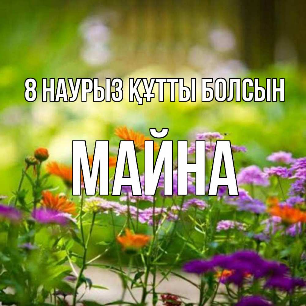 Күн сайын ашық хат с именем, МАЙНА 8 наурыз құтты болсын цветы Онлайн тегін жүктеп алу тілектері бар керемет карта 