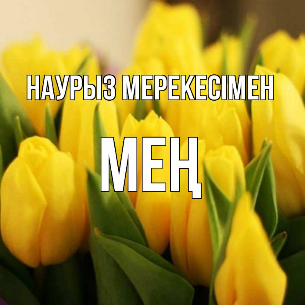 Күн сайын ашық хат с именем, МЕҢ Наурыз мерекесімен цветы Онлайн тегін жүктеп алу тілектері бар керемет карта 
