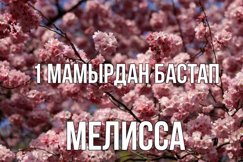 Күн сайын ашық хат с именем, Мелисса 1 мамырдан бастап С 1 мая Онлайн тегін жүктеп алу тілектері бар керемет карта 