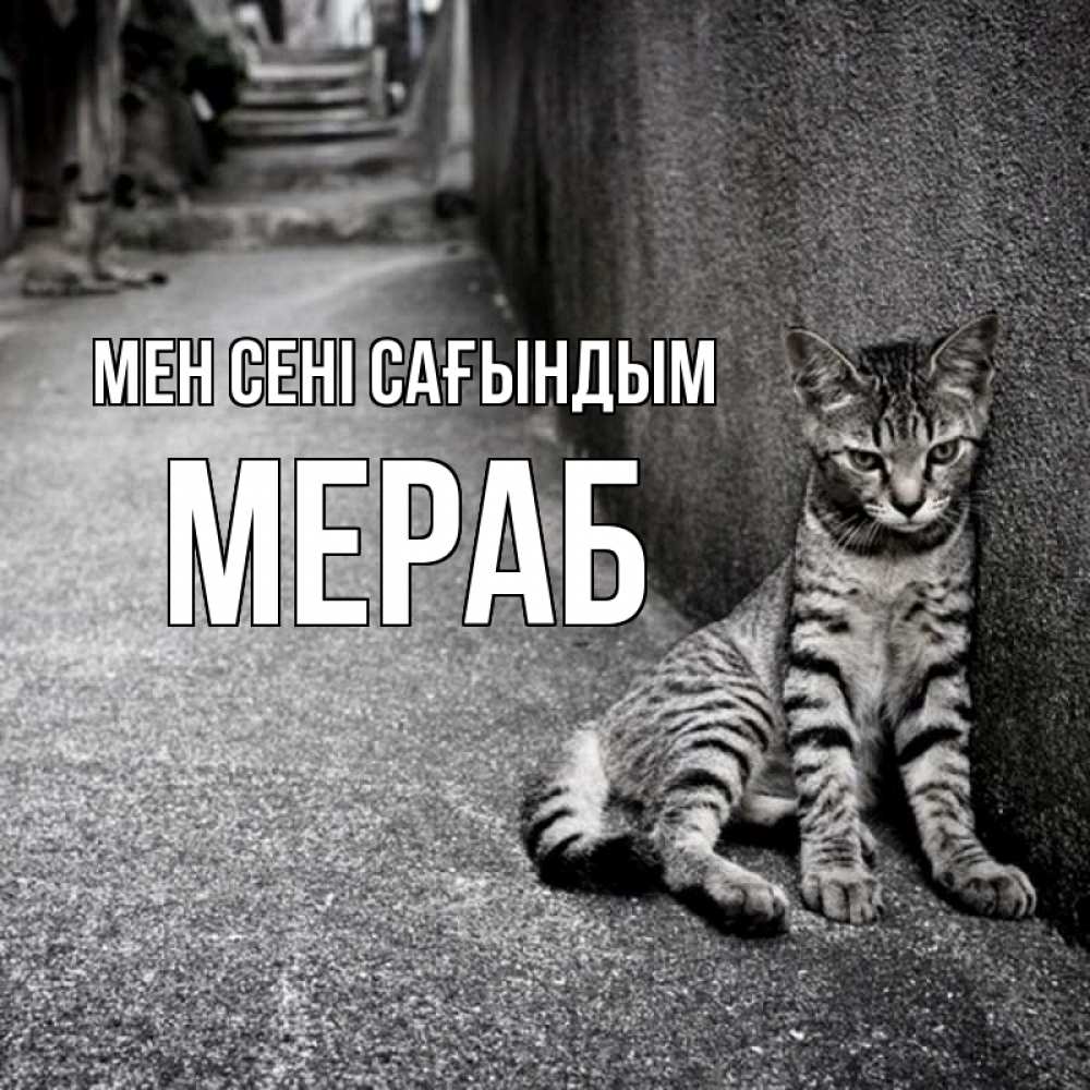 Күн сайын ашық хат с именем, Мераб Мен сені сағындым одиноко котику Онлайн тегін жүктеп алу тілектері бар керемет карта 