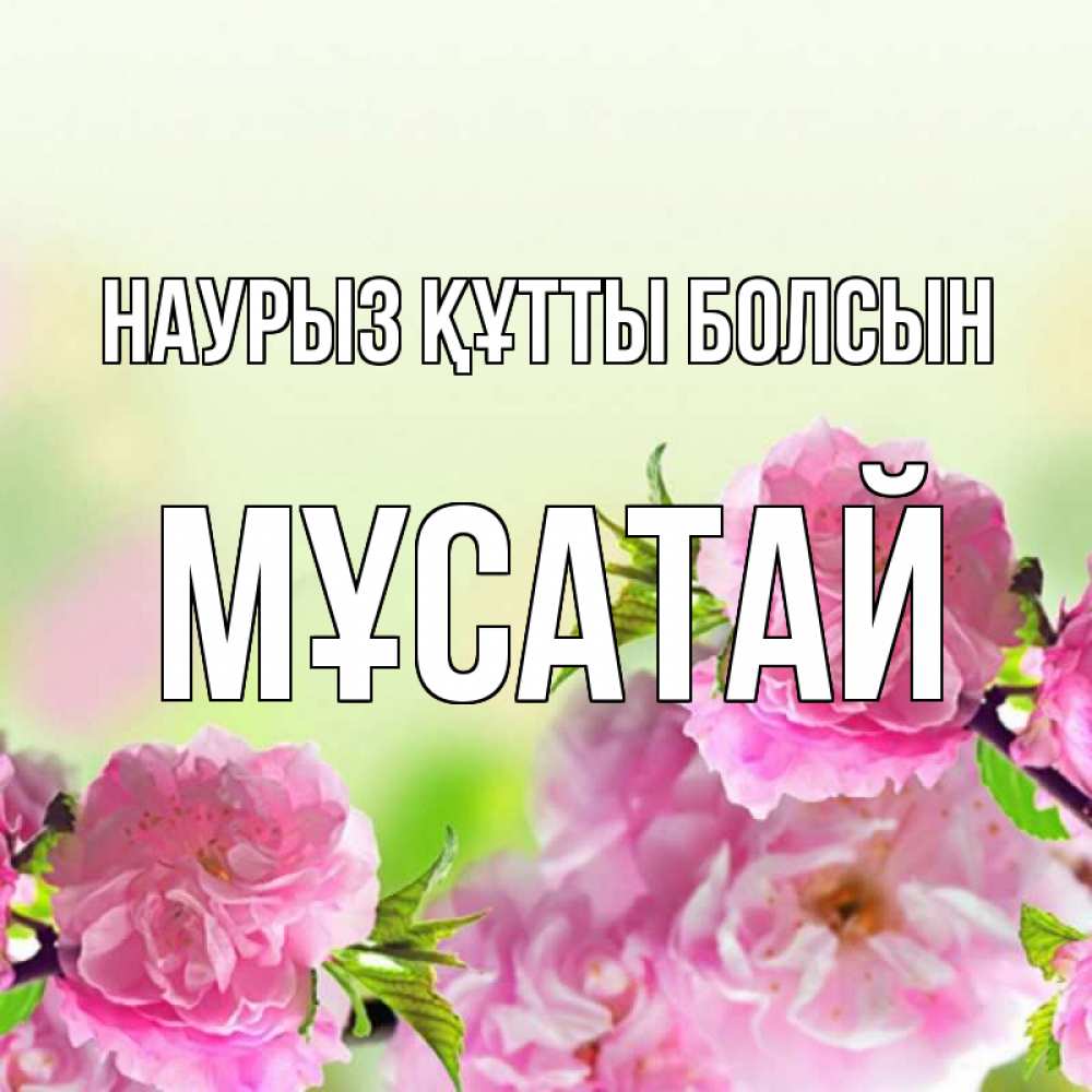 Күн сайын ашық хат с именем, Мұсатай Наурыз құтты болсын цветы Онлайн тегін жүктеп алу тілектері бар керемет карта 