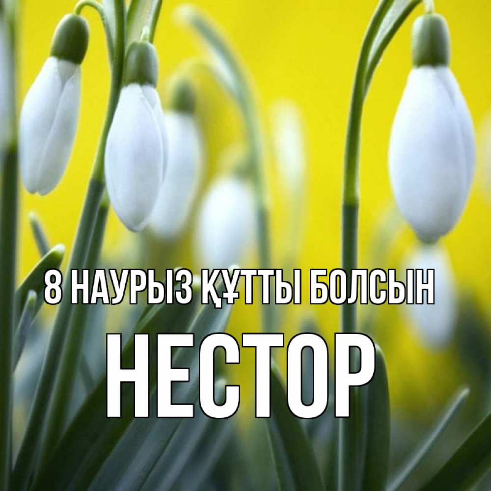 Күн сайын ашық хат с именем, Нестор 8 наурыз құтты болсын весенние цветы Онлайн тегін жүктеп алу тілектері бар керемет карта 