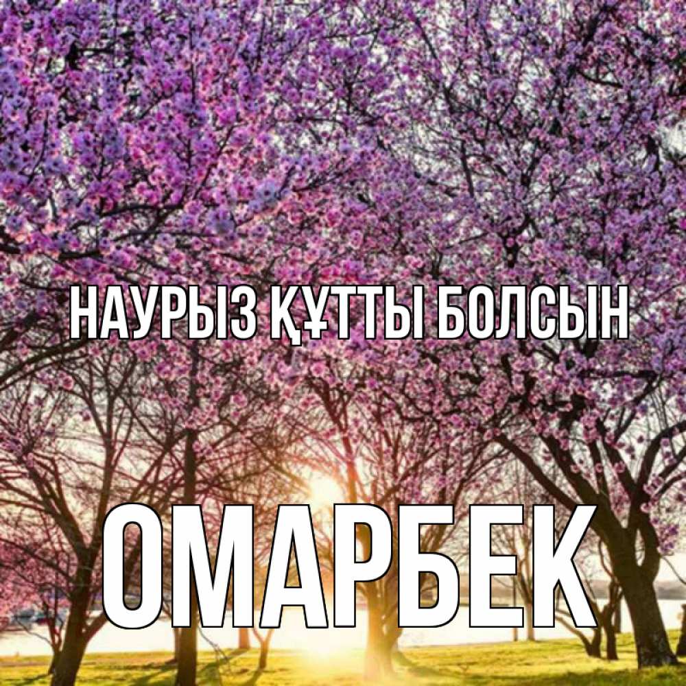 Күн сайын ашық хат с именем, ОМАРБЕК Наурыз құтты болсын наурыз Онлайн тегін жүктеп алу тілектері бар керемет карта 