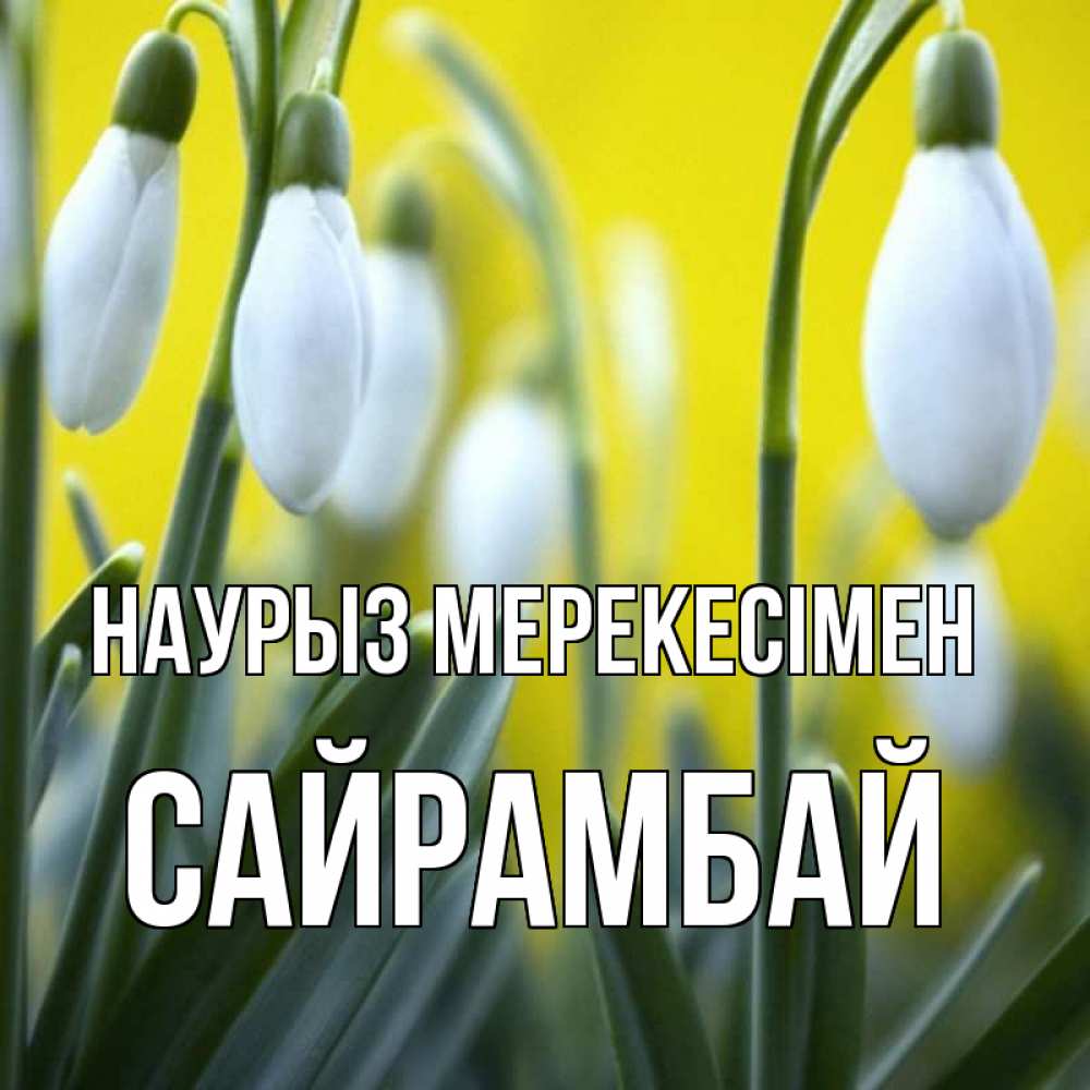 Күн сайын ашық хат с именем, САЙРАМБАЙ Наурыз мерекесімен весенние цветы Онлайн тегін жүктеп алу тілектері бар керемет карта 