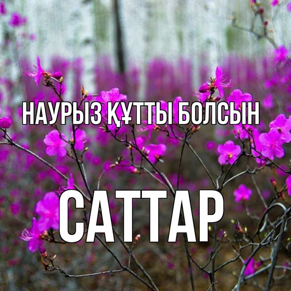 Күн сайын ашық хат с именем, САТТАР Наурыз құтты болсын дикие цветы Онлайн тегін жүктеп алу тілектері бар керемет карта 