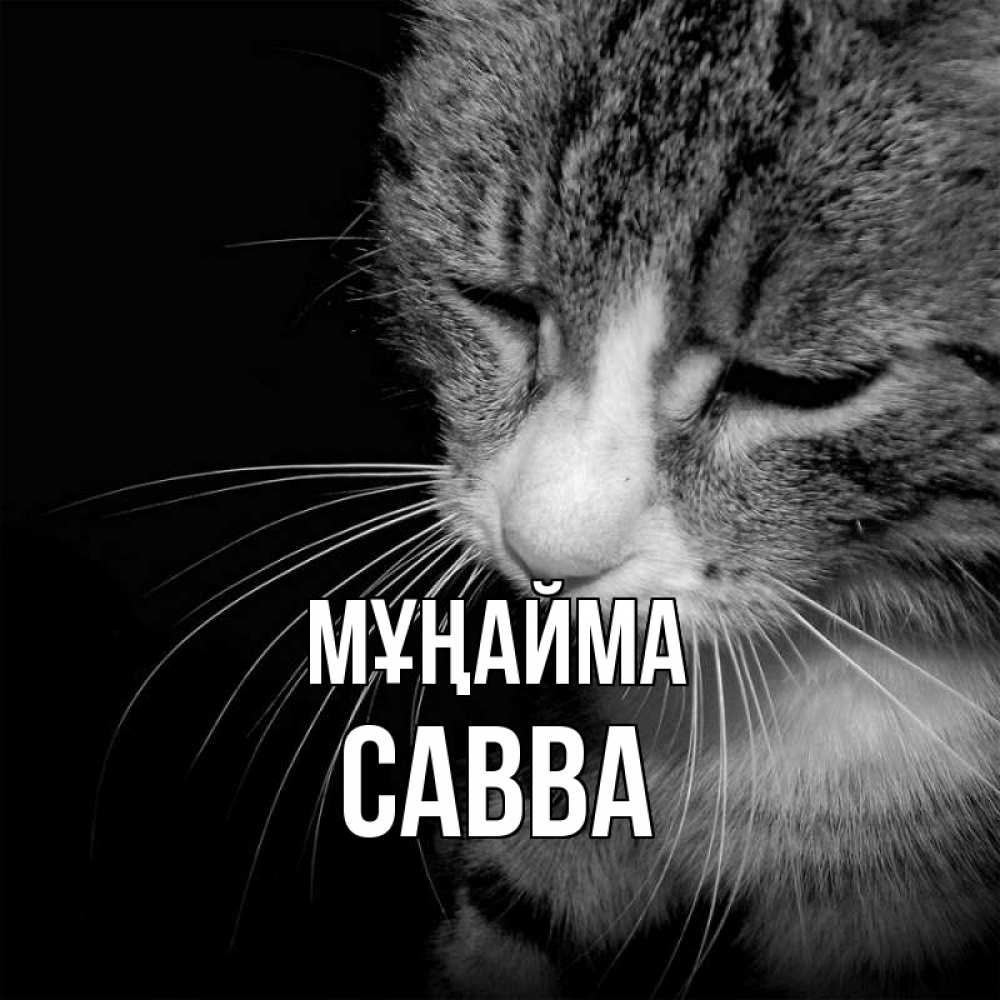 Күн сайын ашық хат с именем, Савва Мұңайма грустный котик Онлайн тегін жүктеп алу тілектері бар керемет карта 