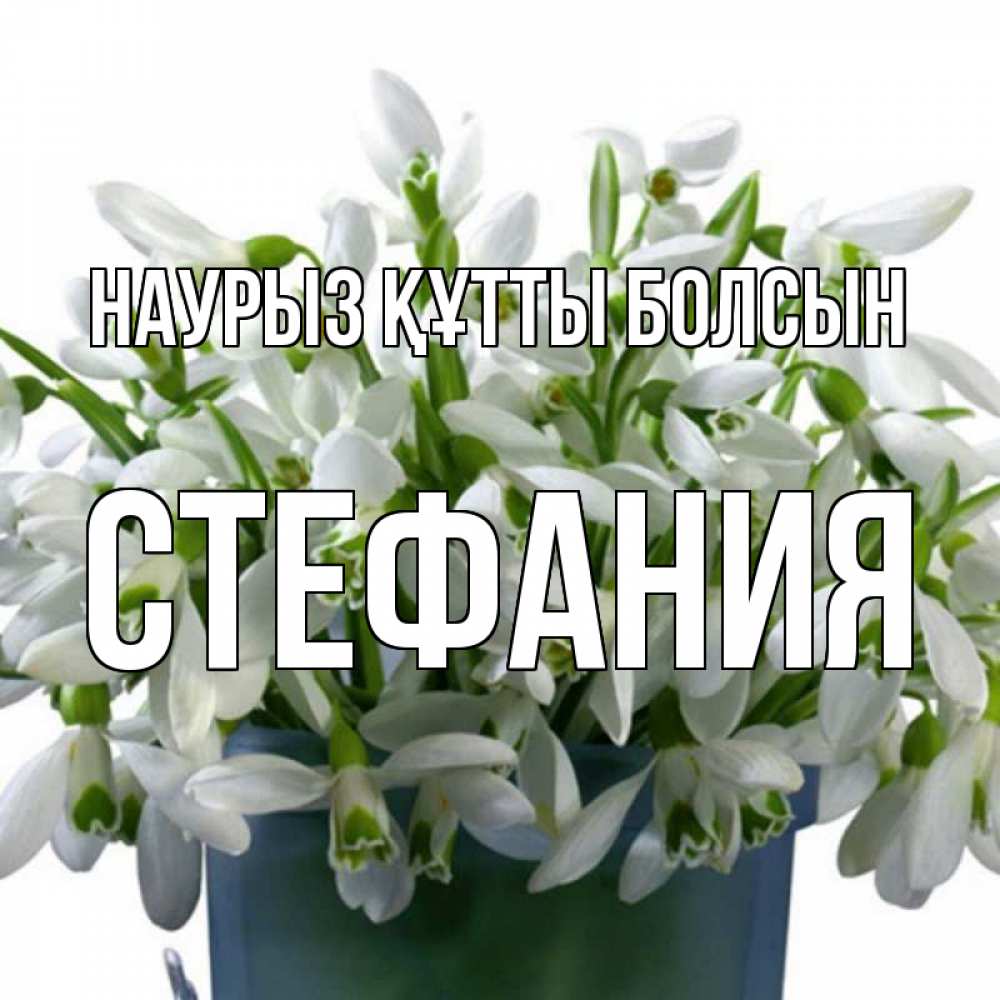 Күн сайын ашық хат с именем, Стефания Наурыз құтты болсын цветы к наурызу Онлайн тегін жүктеп алу тілектері бар керемет карта 