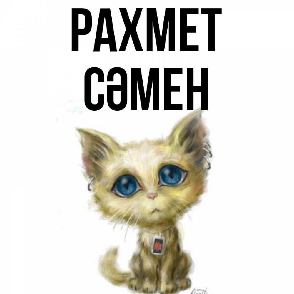 Күн сайын ашық хат с именем, СӘМЕН рахмет рисованный кот благодарит вас Онлайн тегін жүктеп алу тілектері бар керемет карта 