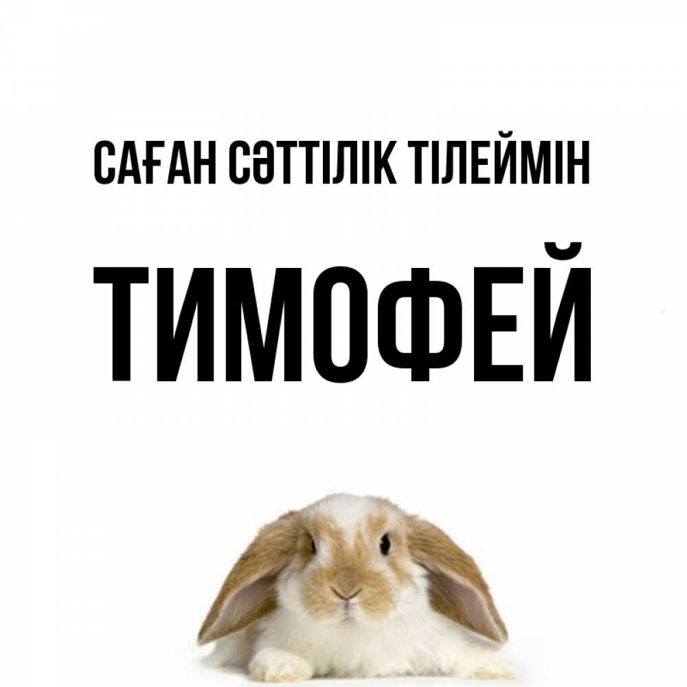 Күн сайын ашық хат с именем, Тимофей Саған сәттілік тілеймін открытки с произвольным текстом который можно вставить в открытку и создать ее самостоятельно бесплатно онлайн Онлайн тегін жүктеп алу тілектері бар керемет карта 