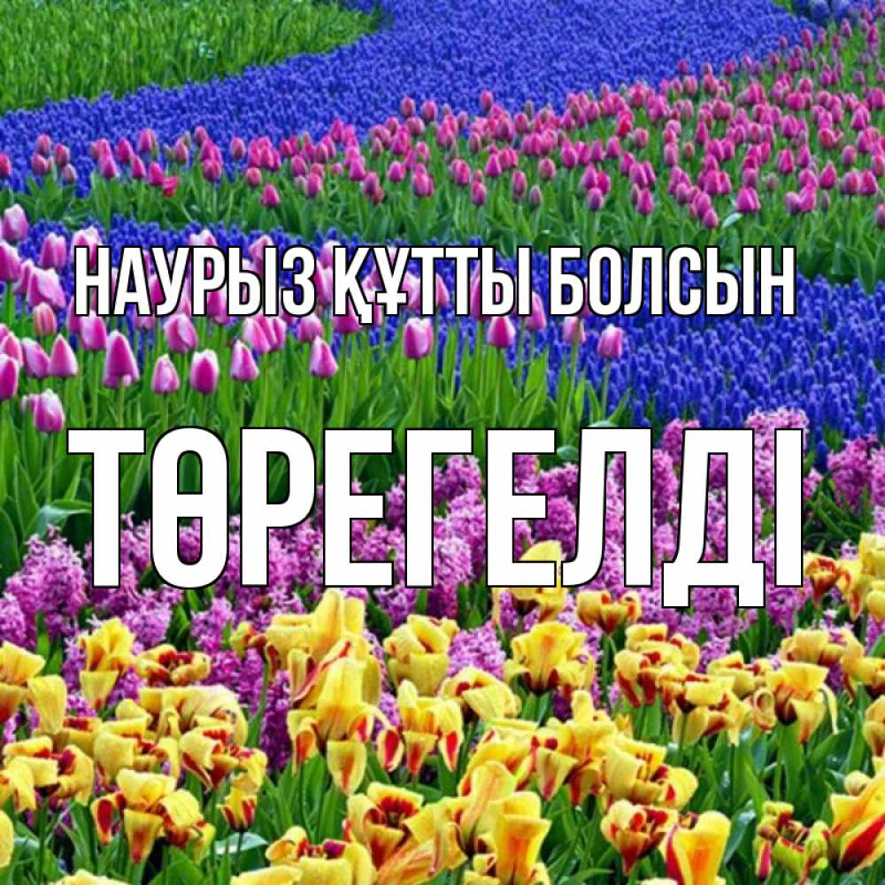 Күн сайын ашық хат с именем, Төрегелді Наурыз құтты болсын цветы Онлайн тегін жүктеп алу тілектері бар керемет карта 