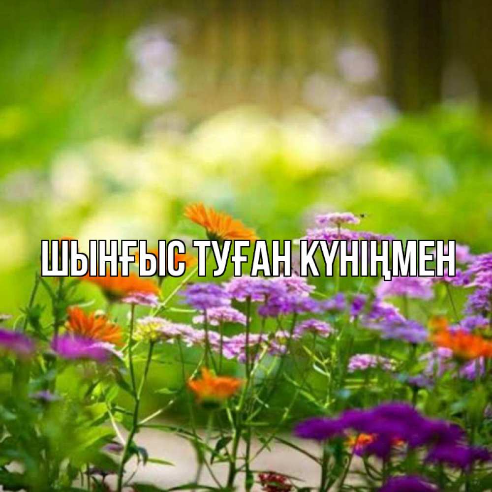 Күн сайын ашық хат с именем, ШЫНҒЫС-ТУҒАН-КҮНІҢМЕН Главная цветы Онлайн тегін жүктеп алу тілектері бар керемет карта 