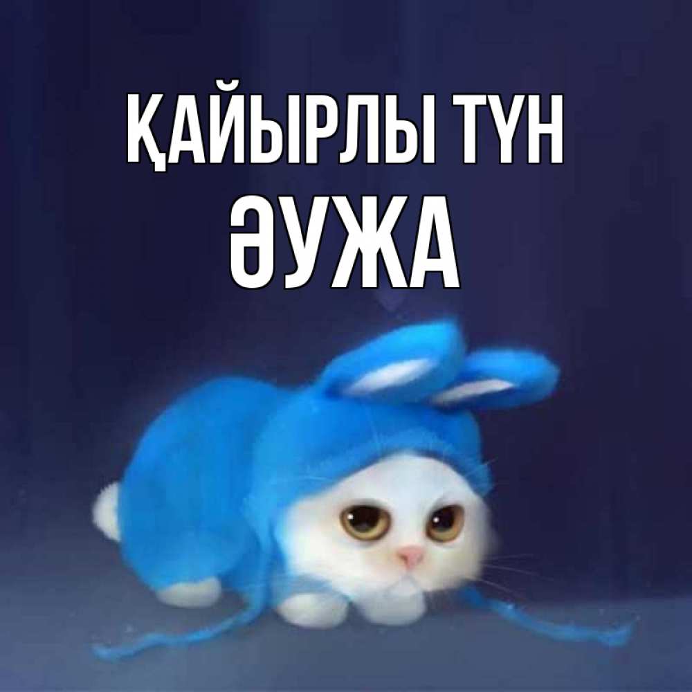 Күн сайын ашық хат с именем, ӘУЖА Қайырлы түн кот в голубом костюме кролика с ушками Онлайн тегін жүктеп алу тілектері бар керемет карта 