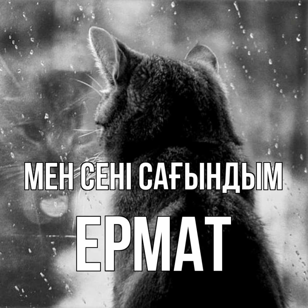 Күн сайын ашық хат с именем, Ермат Мен сені сағындым скорее ко мне приходи 1 Онлайн тегін жүктеп алу тілектері бар керемет карта 