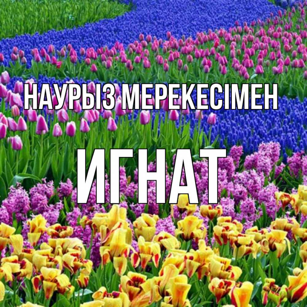 Күн сайын ашық хат с именем, Игнат Наурыз мерекесімен цветы Онлайн тегін жүктеп алу тілектері бар керемет карта 