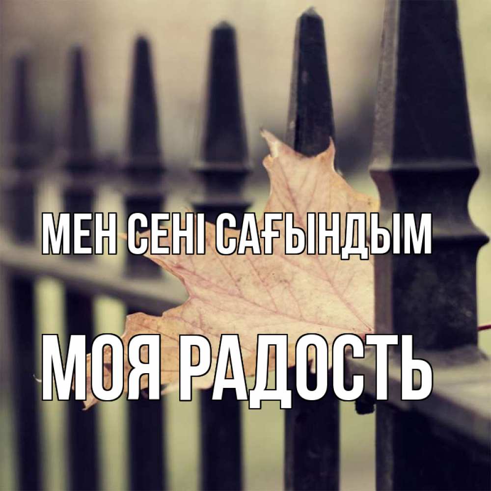 Күн сайын ашық хат с именем, Моя-радость Мен сені сағындым очень скучно Онлайн тегін жүктеп алу тілектері бар керемет карта 