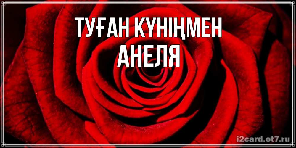 Күн сайын ашық хат с именем, Анеля Туған күніңмен алая роза Онлайн тегін жүктеп алу тілектері бар керемет карта 