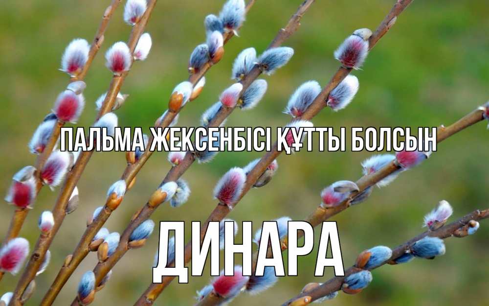Күн сайын ашық хат с именем, ДИНАРА Пальма жексенбісі құтты болсын верба Онлайн тегін жүктеп алу тілектері бар керемет карта 