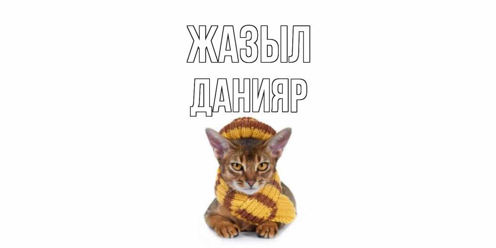 Күн сайын ашық хат с именем, Данияр Жазыл родные не болейте Онлайн тегін жүктеп алу тілектері бар керемет карта 