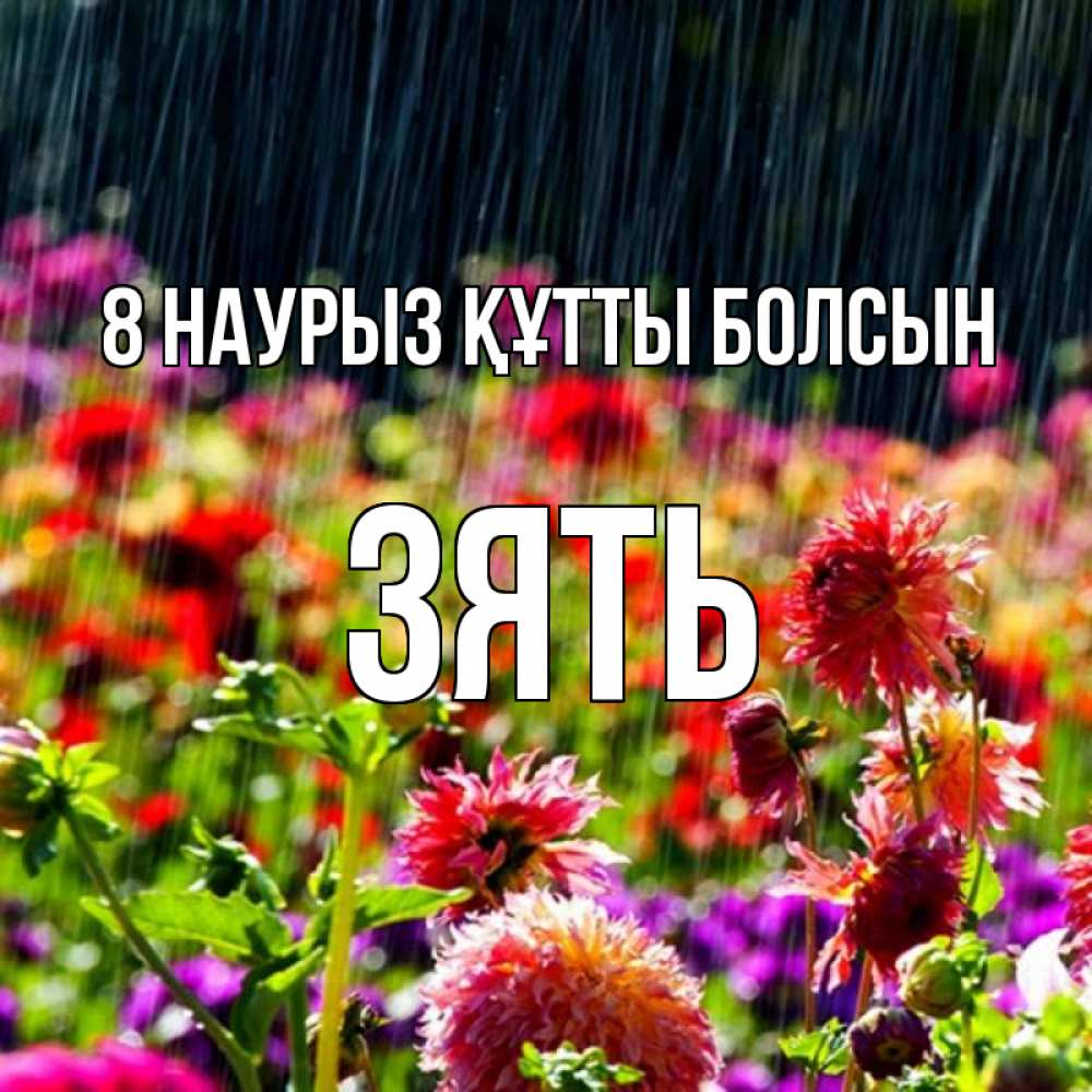 Күн сайын ашық хат с именем, Зять 8 наурыз құтты болсын цветы под дождиком к международному женскому дню Онлайн тегін жүктеп алу тілектері бар керемет карта 