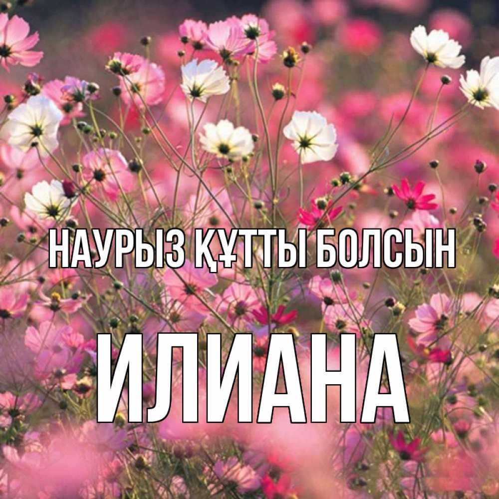 Күн сайын ашық хат с именем, Илиана Наурыз құтты болсын красиво 1 Онлайн тегін жүктеп алу тілектері бар керемет карта 